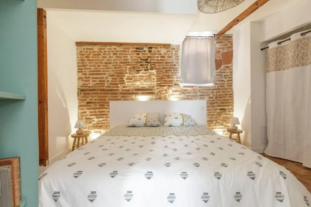 Elegant T2 Avec Balneo A 100M Du Capitole Apartment Toulouse France