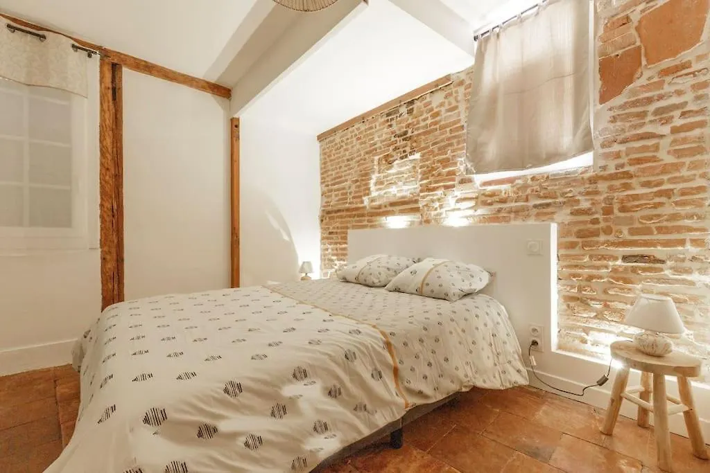 Elegant T2 Avec Balneo A 100M Du Capitole Apartment Toulouse 0*,  France